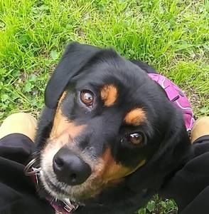 Meet your Posher, Michelle